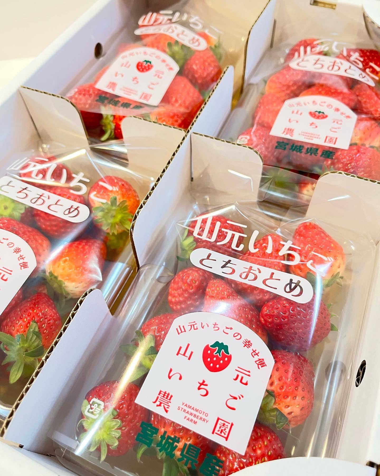 クリスマスケーキ「スペシャルいちご」※21日〜２５日限定※配送不可・店頭お渡し